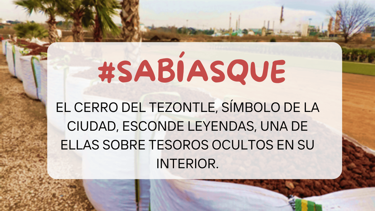 Imagen del carrusel